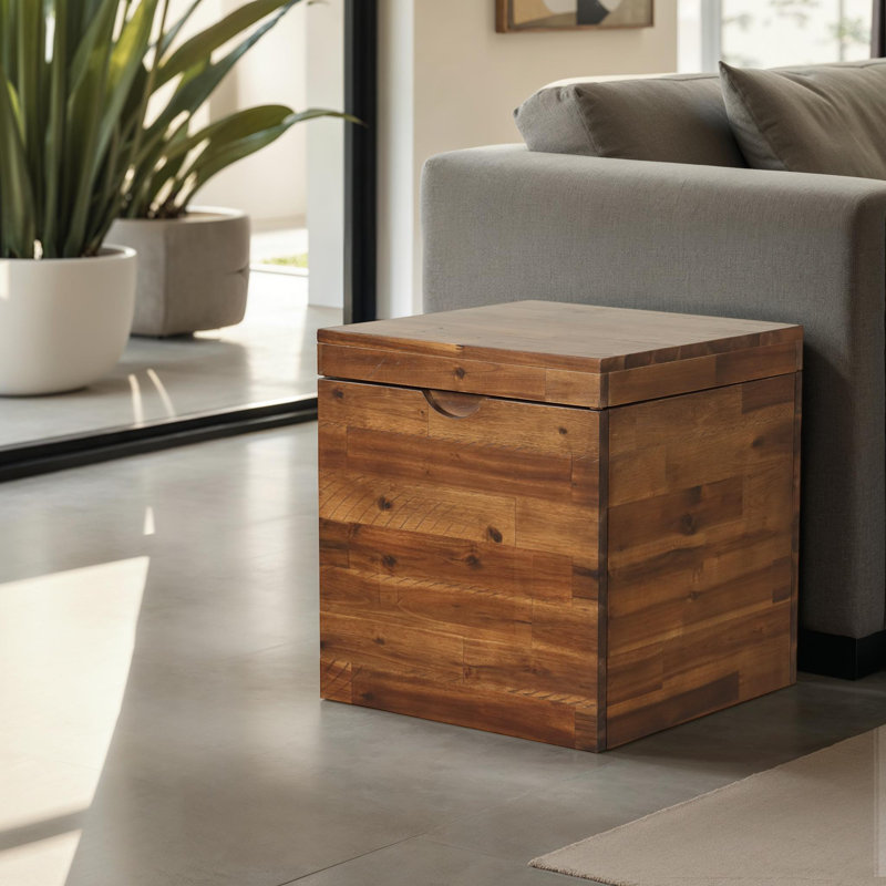 Wade Logan® Capriles Accent Trunk & Reviews | Wayfair